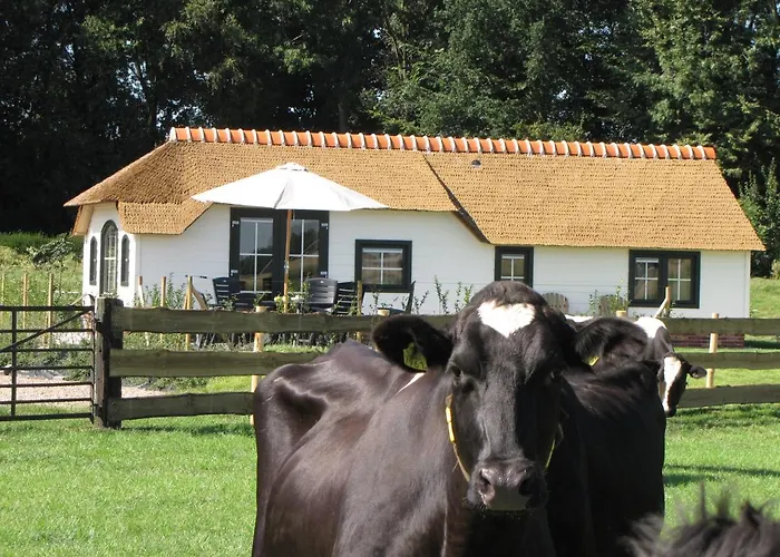 شاليه Mariahoeve-logies #veenhuisje Woubrugge