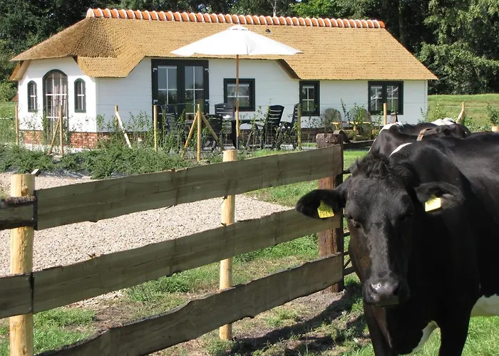 Mariahoeve-logies #veenhuisje Woubrugge