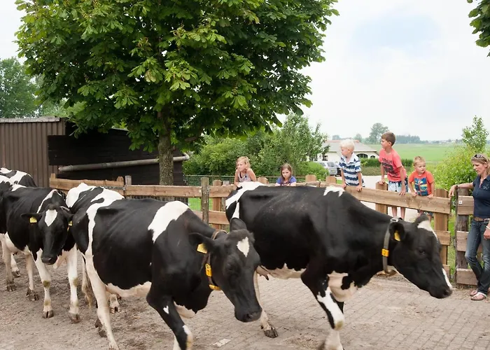 شاليه Mariahoeve-logies #veenhuisje *