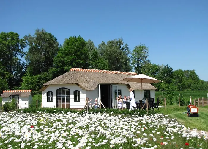 شاليه Mariahoeve-logies #veenhuisje