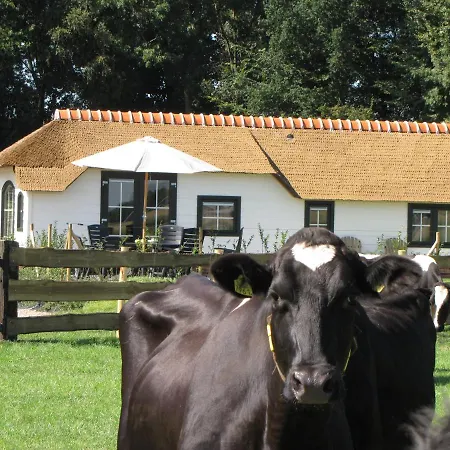 Alpehytte Mariahoeve-logies #veenhuisje Woubrugge