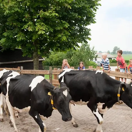 Alpehytte Mariahoeve-logies #veenhuisje *
